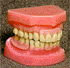 designed partial denture