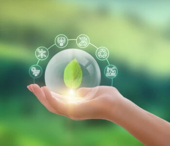 eco 2